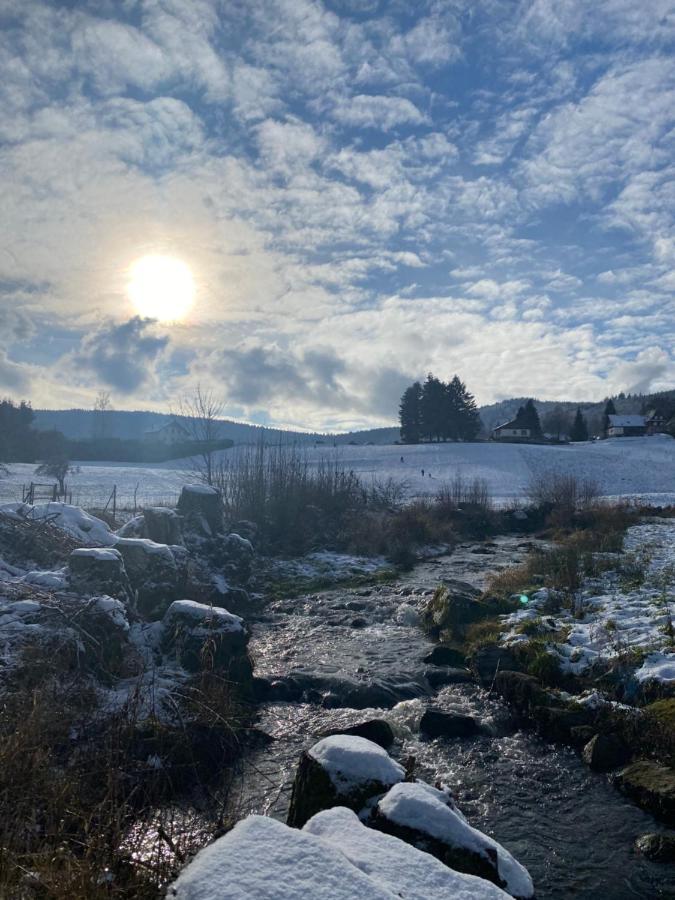 Gite Au Cours D'Eau Le Hohwald Buitenkant foto