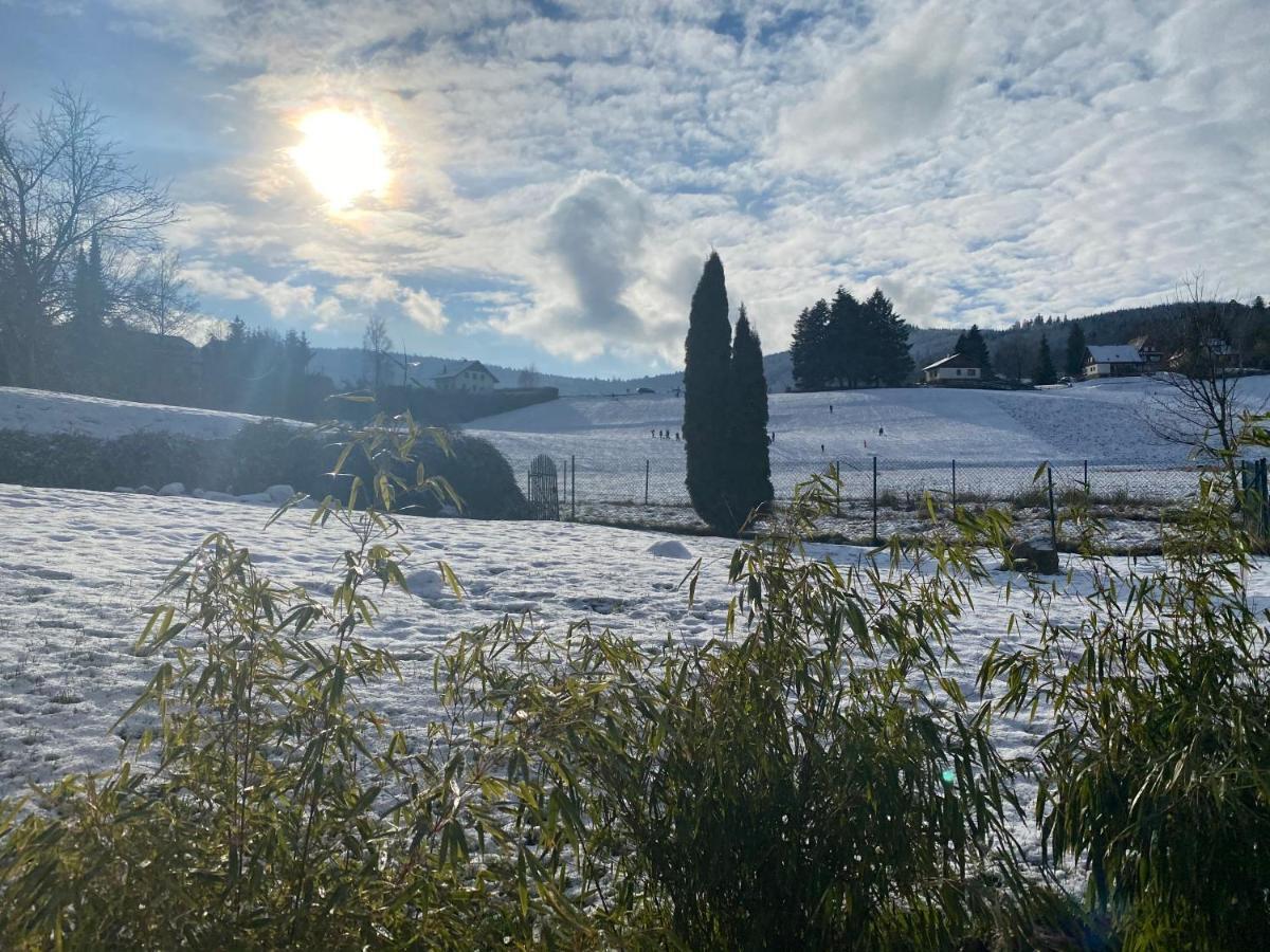 Gite Au Cours D'Eau Le Hohwald Buitenkant foto