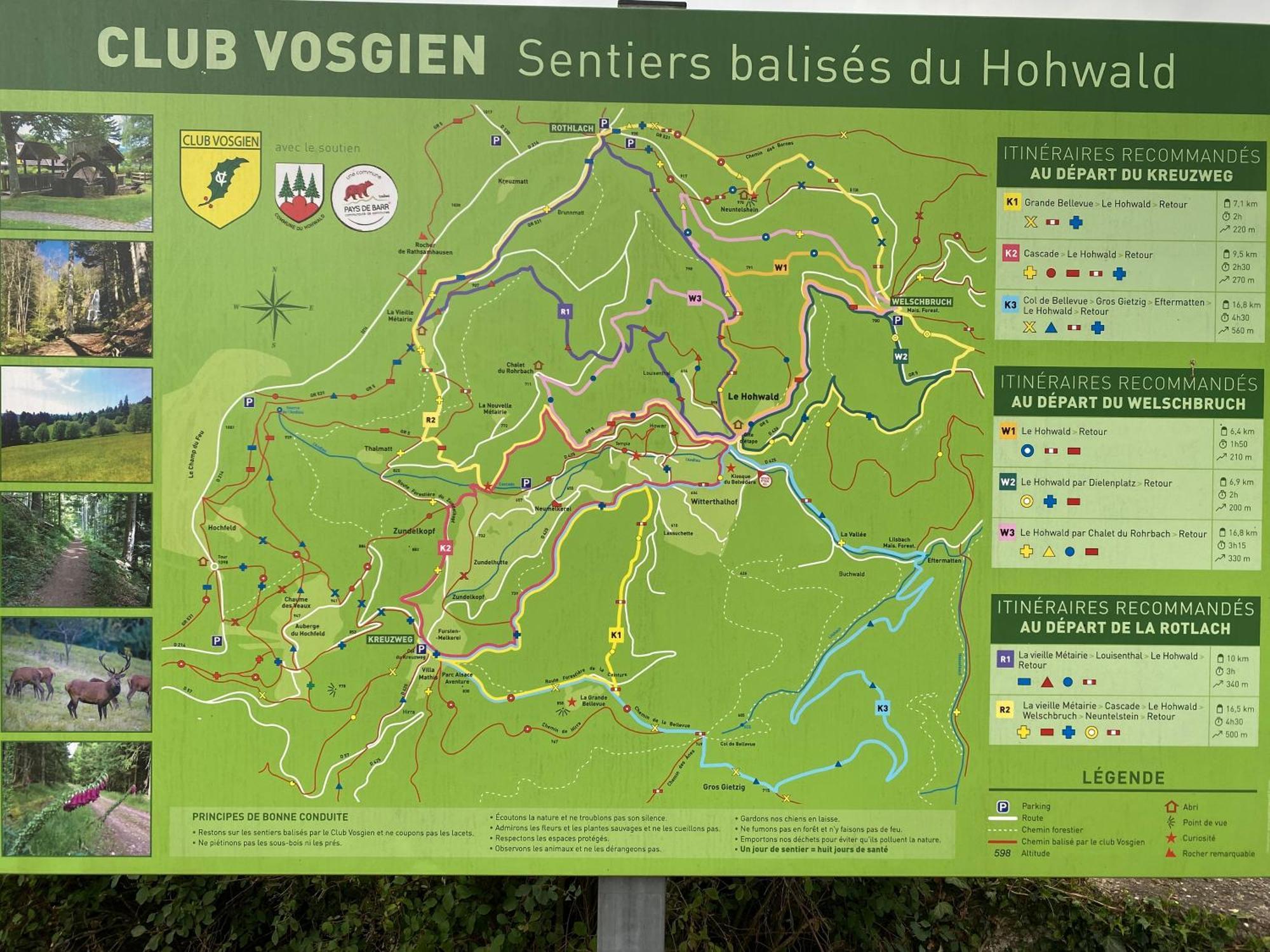Gite Au Cours D'Eau Le Hohwald Buitenkant foto